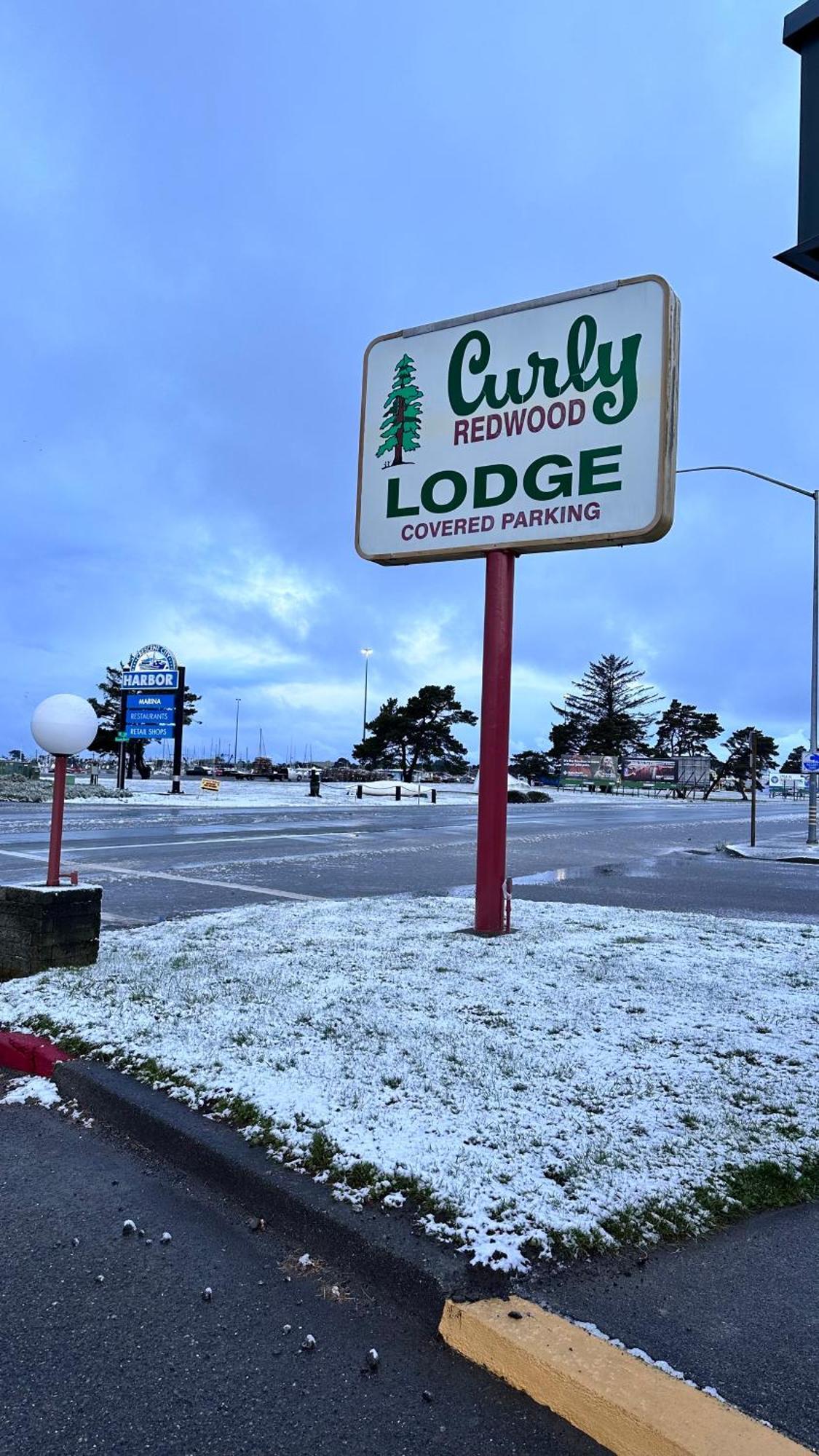 كريسينت سيتي Curly Redwood Lodge المظهر الخارجي الصورة