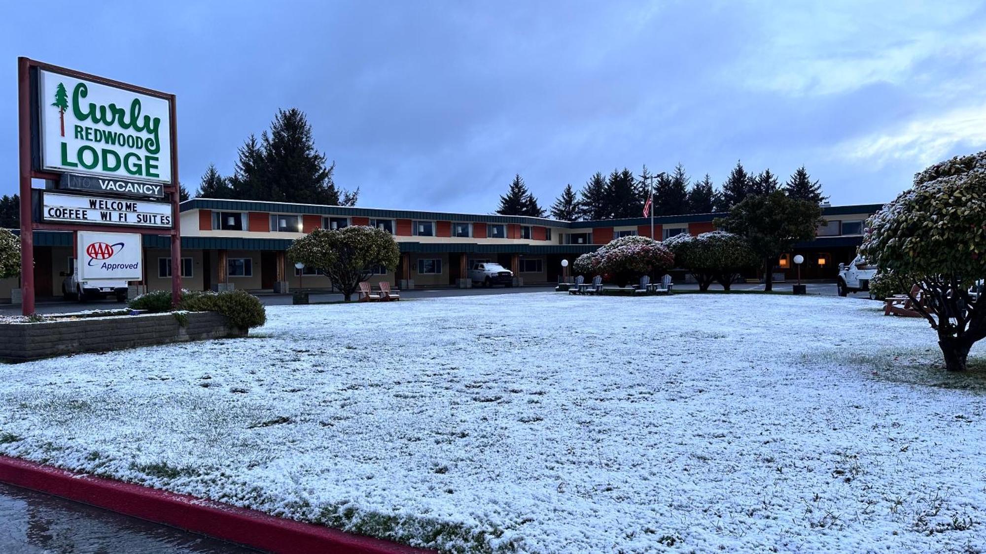 كريسينت سيتي Curly Redwood Lodge المظهر الخارجي الصورة